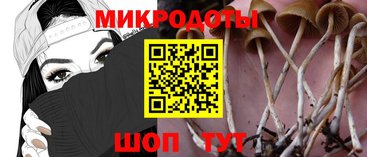Вологда  Псилоцибиновые грибы GOLDEN TEACHER  Вход с VPN 